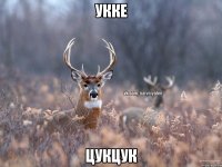 укке цукцук