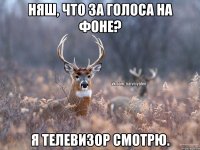 Няш, что за голоса на фоне? Я телевизор смотрю.