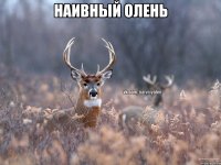 НАИВНЫЙ ОЛЕНЬ 