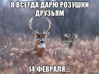 Я всегда дарю розушки друзьям 14 февраля....