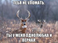 Тебя не уломать, ты у меня однолюбка и верная.