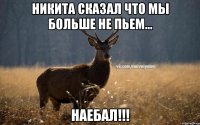 Никита сказал что мы больше не пьем... Наебал!!!