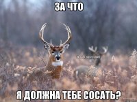 за что я должна тебе сосать?