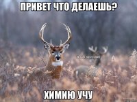 Привет что делаешь? Химию учу