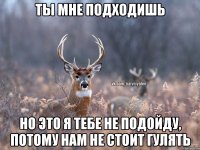 Ты мне подходишь Но это я тебе не подойду, потому нам не стоит гулять