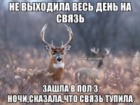 Не выходила весь день на связь Зашла в пол 3 ночи,сказала,что связь тупила