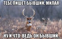 Тебе пишет бывший, милая Ну и что. Ведь он бывший.