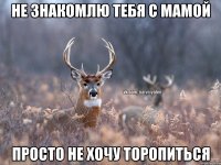 не знакомлю тебя с мамой просто не хочу торопиться