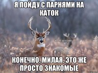 Я пойду с парнями на каток Конечно, милая, это же просто знакомые