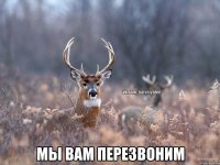  Мы вам перезвоним