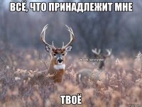 всё, что принадлежит мне твоё