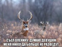  съел оленину, думаю девушки меня никогда больше не разведут