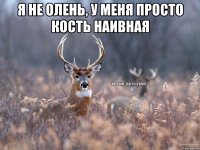 Я не олень, у меня просто кость наивная 