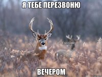 Я ТЕБЕ ПЕРЕЗВОНЮ ВЕЧЕРОМ