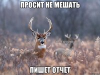 просит не мешать пишет отчет