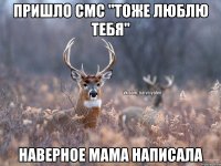 Пришло смс "тоже люблю тебя" наверное мама написала