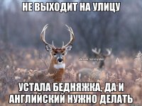 Не выходит на улицу Устала бедняжка, да и английский нужно делать