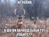 не поняв а шо ви качкодзьоби тут робите??