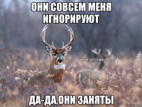 Они совсем меня игнорируют Да-да,они заняты