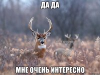 Да да мне очень интересно