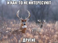 и как-то не интересуют другие