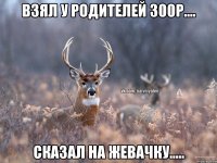 ВЗЯЛ У РОДИТЕЛЕЙ 300р.... СКАЗАЛ НА ЖЕВАЧКУ.....