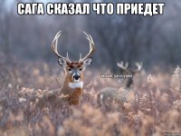 Сага сказал что приедет 