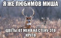 я же Любимов Миша цветы от меня на стену-это круто