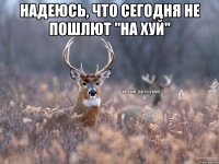 Надеюсь, что сегодня не пошлют "на хуй" 