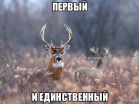 Первый и единственный