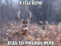 я тебе верю ведь ты любишь меня