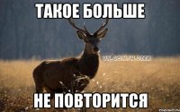 такое больше не повторится