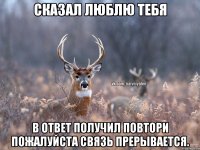 Сказал люблю тебя В ответ получил повтори пожалуйста связь прерывается.