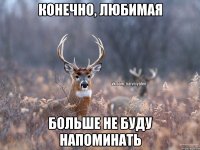 Конечно, любимая Больше не буду напоминать