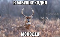 К бабушке ходил Молодец