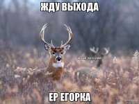 жду выхода EP Егорка