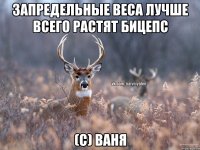 запредельные веса лучше всего растят бицепс (С) Ваня