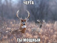 Черта ты мощный