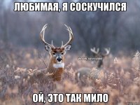 Любимая, я соскучился Ой, это так мило