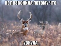 не позвонила потому что УСНУЛА