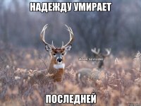 Надежду умирает Последней