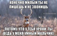 конечно милый,ты не пишешь и не звонишь потому что у тебя уроки, ты ведь у меня умный мальчик)