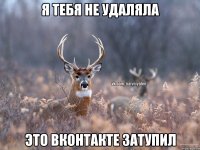 я тебя не удаляла это вконтакте затупил