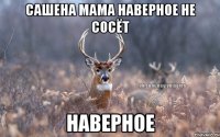 Сашена Мама Наверное не Сосёт НАВЕРНОЕ