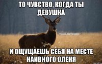 то чувство, когда ты девушка и ощущаешь себя на месте наивного оленя