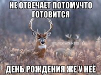 Не отвечает потомучто готовится День рождения же у неё