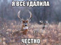 Я все удалила Честно