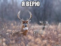 Я верю 