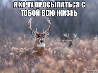 Я хочу просыпаться с тобой всю жизнь 