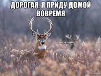 Дорогая, я приду домой вовремя 